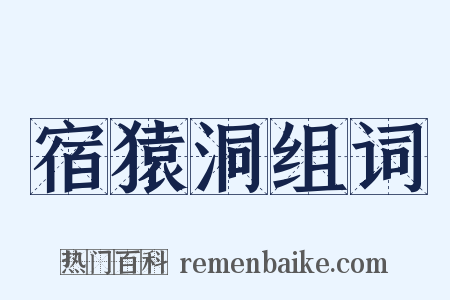 宿猿洞组词是什么意思的图片